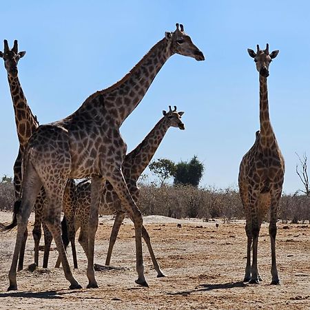 Xhabe Safari Lodge Chobe Muchenje Esterno foto